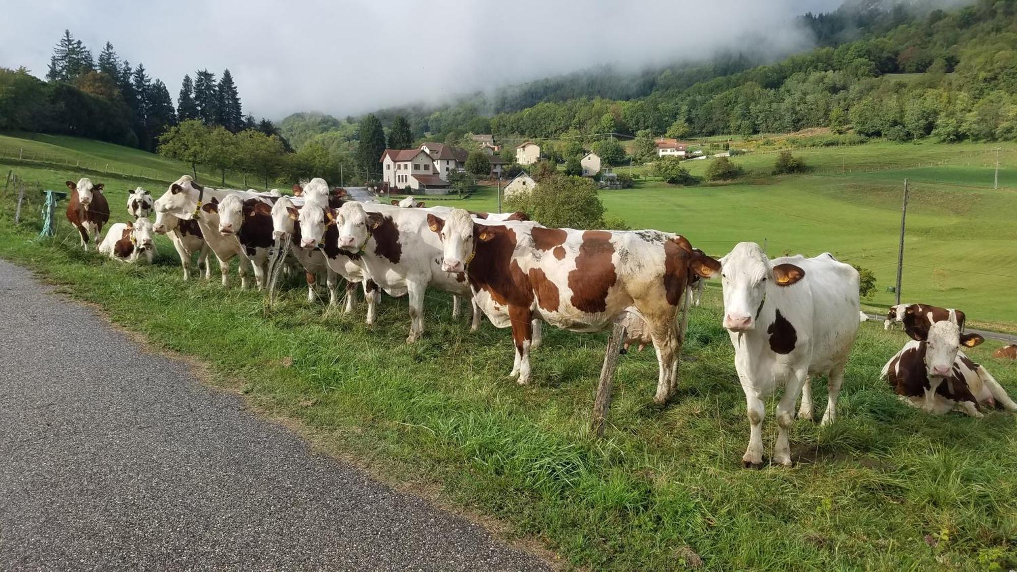 Un Pied Devant L'Autre Sainte-Marie-D'Alvey Εξωτερικό φωτογραφία